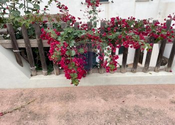 Giardino - Appartamento Badesi - foto 12