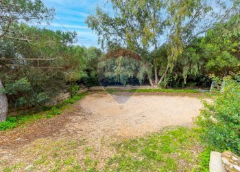 Giardino - Quadrilocale Stintino - foto 8