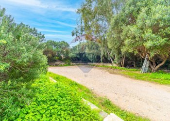 Giardino - Quadrilocale Stintino - foto 9