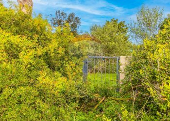 Giardino - Quadrilocale Stintino - foto 18