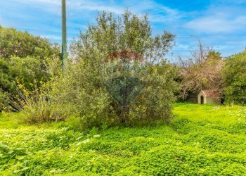 Giardino - Quadrilocale Stintino - foto 20