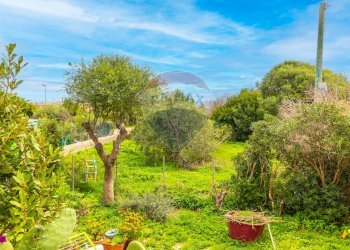 Giardino - Quadrilocale Stintino - foto 22