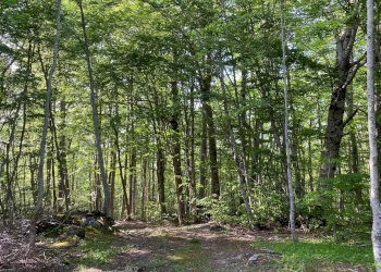 Foto 7 - Baita SP 43
 
4, Pietracamela - foto 7