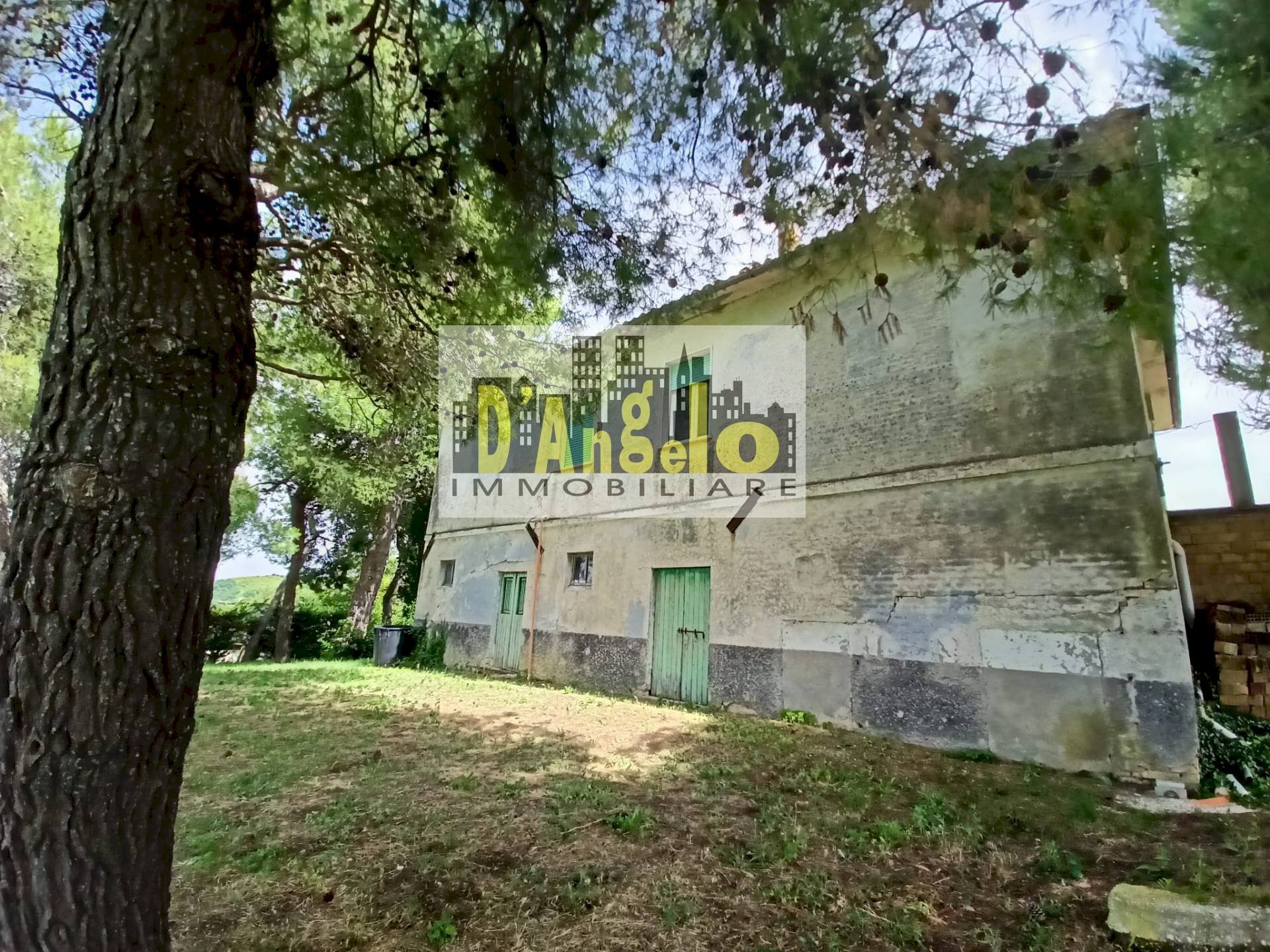 Foto 2 - Rustic contrada tesino, Offida - photo 2