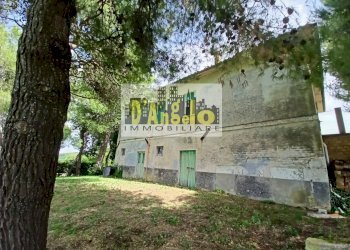 Foto 2 - Rustic contrada tesino, Offida - photo 2