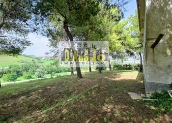 Foto 4 - Rustic contrada tesino, Offida - photo 4