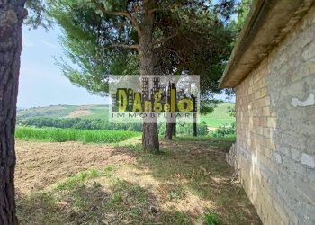 Foto 7 - Rustic contrada tesino, Offida - photo 7