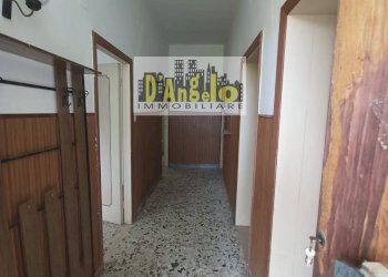 Foto 9 - Rustic contrada tesino, Offida - photo 9