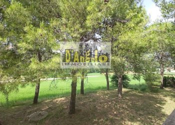 Foto 28 - Rustic contrada tesino, Offida - photo 28