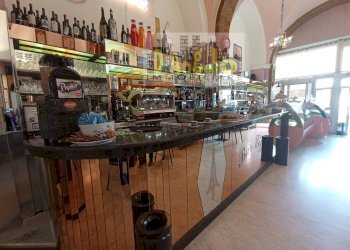 Foto 8 - Bar Tavola Calda - Fredda Borgo G. Leopardi
 
33, Offida - foto 8