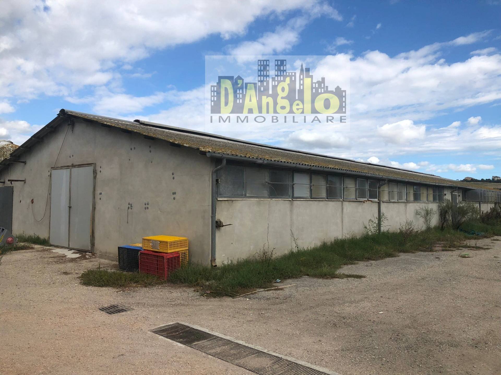 Foto 4 - Casa indipendente Strada Provinciale 18, Offida - foto 3