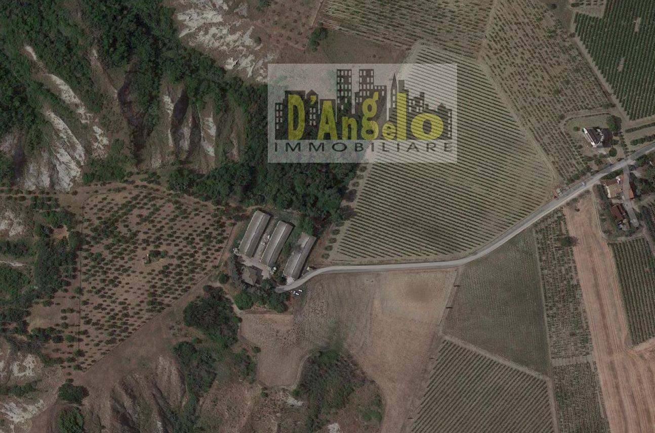 Foto 3 - Casa indipendente Strada Provinciale 18, Offida - planimetria 1