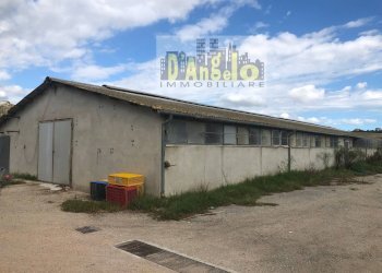 Foto 4 - Casa indipendente Strada Provinciale 18, Offida - foto 3