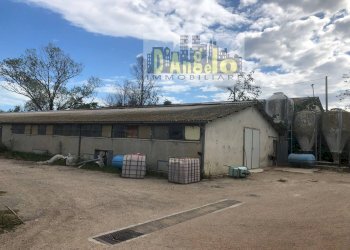 Foto 6 - Casa indipendente Strada Provinciale 18, Offida - foto 5