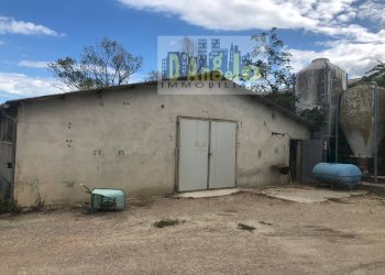 Foto 8 - Casa indipendente Strada Provinciale 18, Offida - foto 7