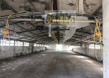 Foto 9 - Casa indipendente Strada Provinciale 18, Offida - foto 8