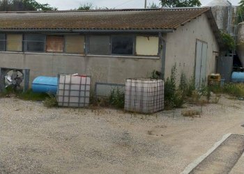 Foto 10 - Casa indipendente Strada Provinciale 18, Offida - foto 9