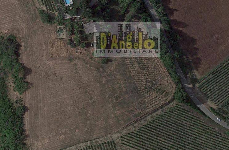 Foto 1 - Casa indipendente Contrada Grazie, Cossignano - planimetria 1