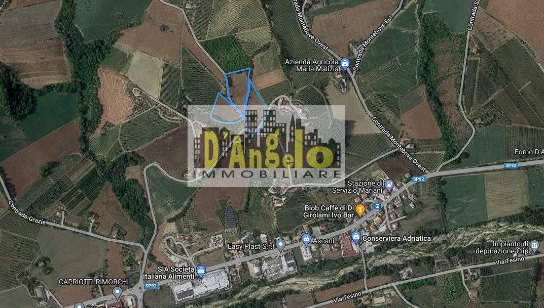 Foto 2 - Independent house Contrada Montebove, Offida - photo 2