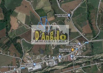 Foto 2 - Casa indipendente Contrada Montebove, Offida - foto 2