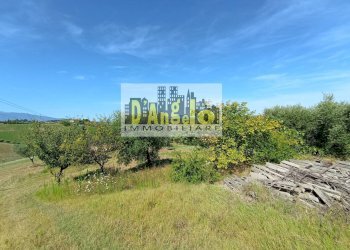 Foto 23 - Rustico Contrada Pagliare
 
2, Monsampolo del Tronto - foto 23