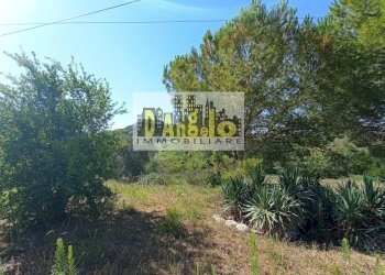 Foto 27 - Rustico Contrada Pagliare
 
2, Monsampolo del Tronto - foto 27