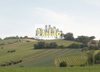 Foto 11 - Casa indipendente Castignano - foto 11