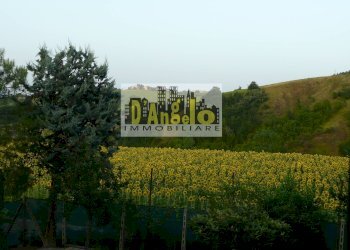 Foto 12 - Casa indipendente Castignano - foto 12