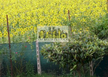 Foto 13 - Casa indipendente Castignano - foto 13