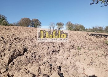 Foto 9 - Casa indipendente Contrada valentino, Castel di Lama - foto 9