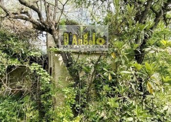 Foto 5 - Rustico Contrada Sant'Antonio, Petritoli - foto 5