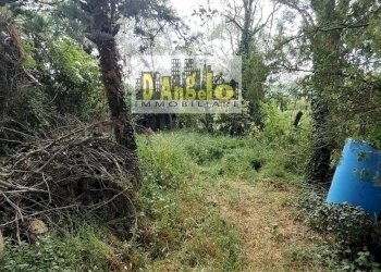 Foto 10 - Rustico Contrada Sant'Antonio, Petritoli - foto 10