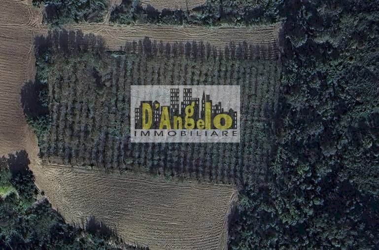 Foto 2 - Terreno edificabile San Lazzaro, Offida - foto 2