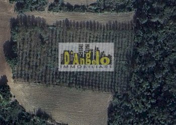 Foto 2 - Terreno edificabile San Lazzaro, Offida - foto 2