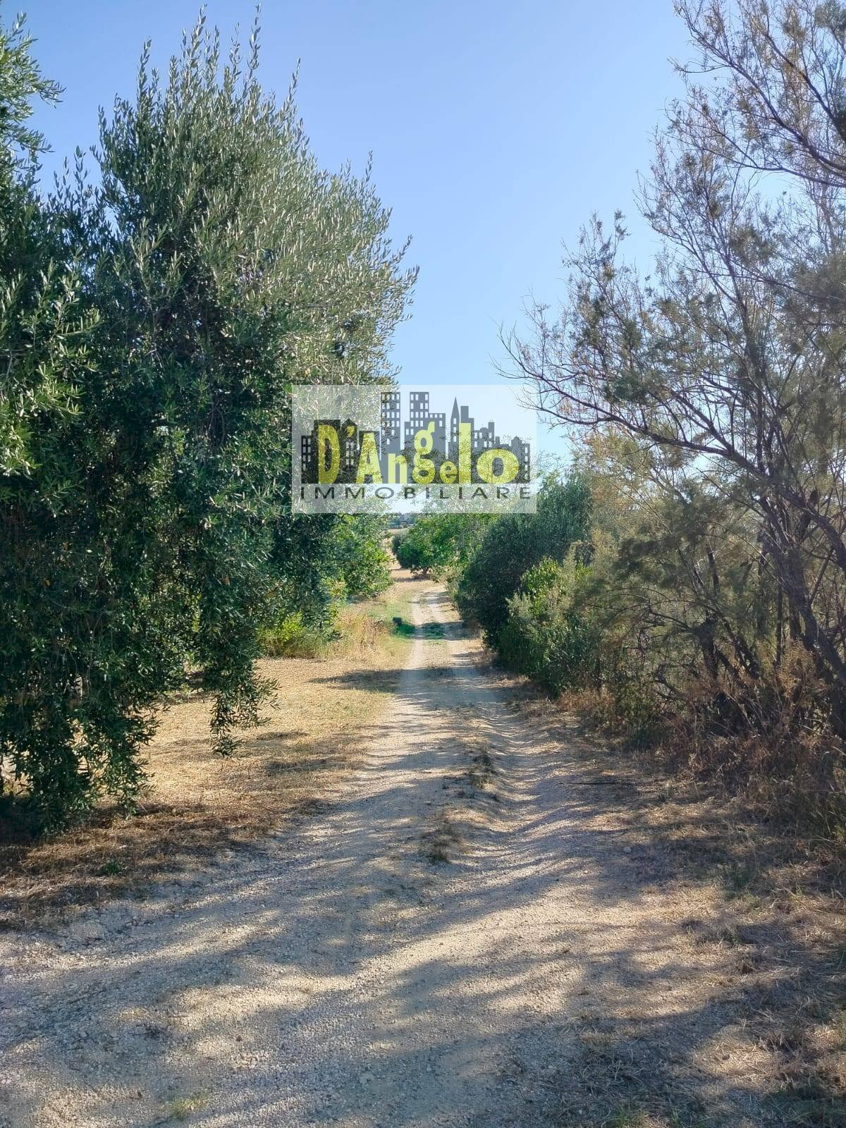 Foto 2 - Rustico Rovecciano, Offida - foto 2