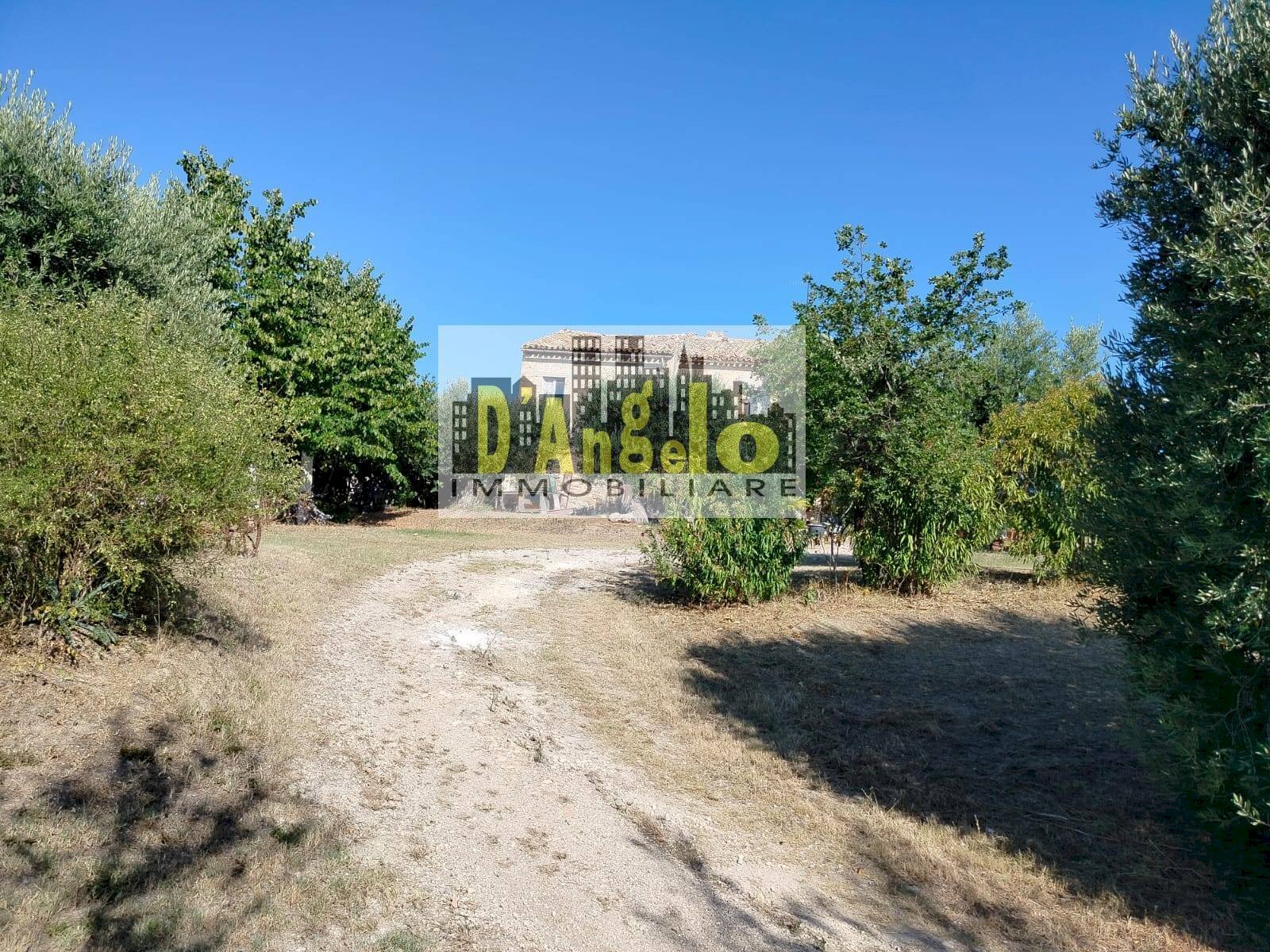 Foto 3 - Rustico Rovecciano, Offida - foto 3