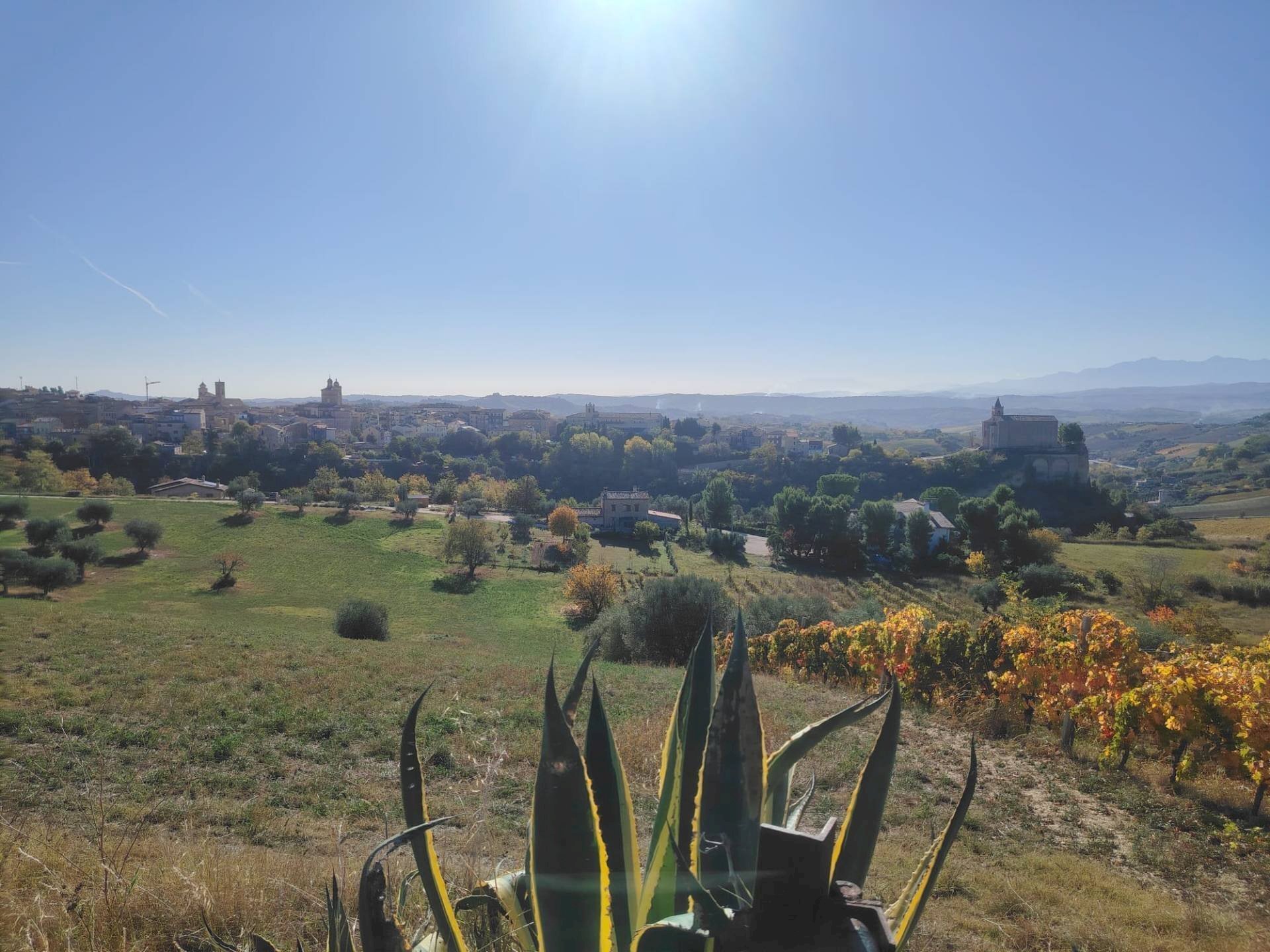 Foto 8 - Rustico Rovecciano, Offida - planimetria 1