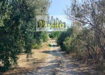 Foto 2 - Rustic Rovecciano, Offida - photo 2