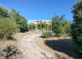 Foto 3 - Rustic Rovecciano, Offida - photo 3