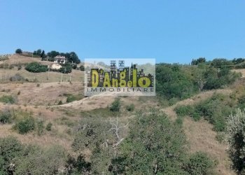 Foto 5 - Rustic Rovecciano, Offida - photo 5