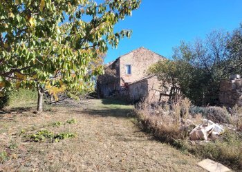 Foto 15 - Rustic Rovecciano, Offida - photo 14