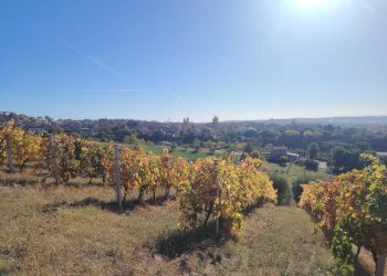 Foto 1 - Rustic Rovecciano, Offida - photo 1