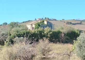 Foto 7 - Rustic Rovecciano, Offida - photo 7