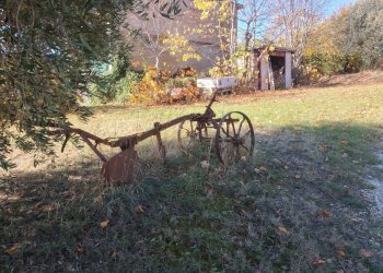 Foto 11 - Rustic Rovecciano, Offida - photo 10