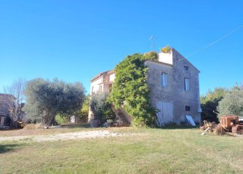 Foto 12 - Rustic Rovecciano, Offida - photo 11