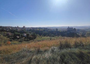 Foto 14 - Rustic Rovecciano, Offida - photo 13