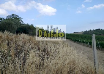 Foto 24 - Independent house Via San Lazzaro, Offida - photo 24