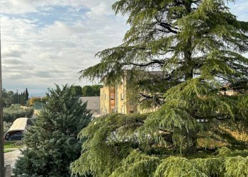 Foto 11 - Attic Via Giacomo Matteotti
 
3, Offida - photo 11