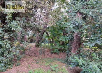 Foto 43 - Villa Viale Mazzini, Offida - photo 43