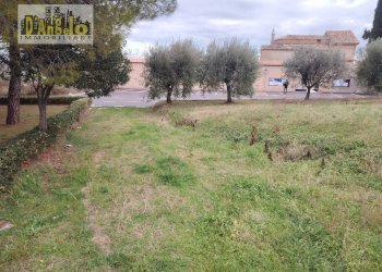 Foto 22 - Villa Via Gramsci
 
14, Offida - photo 22